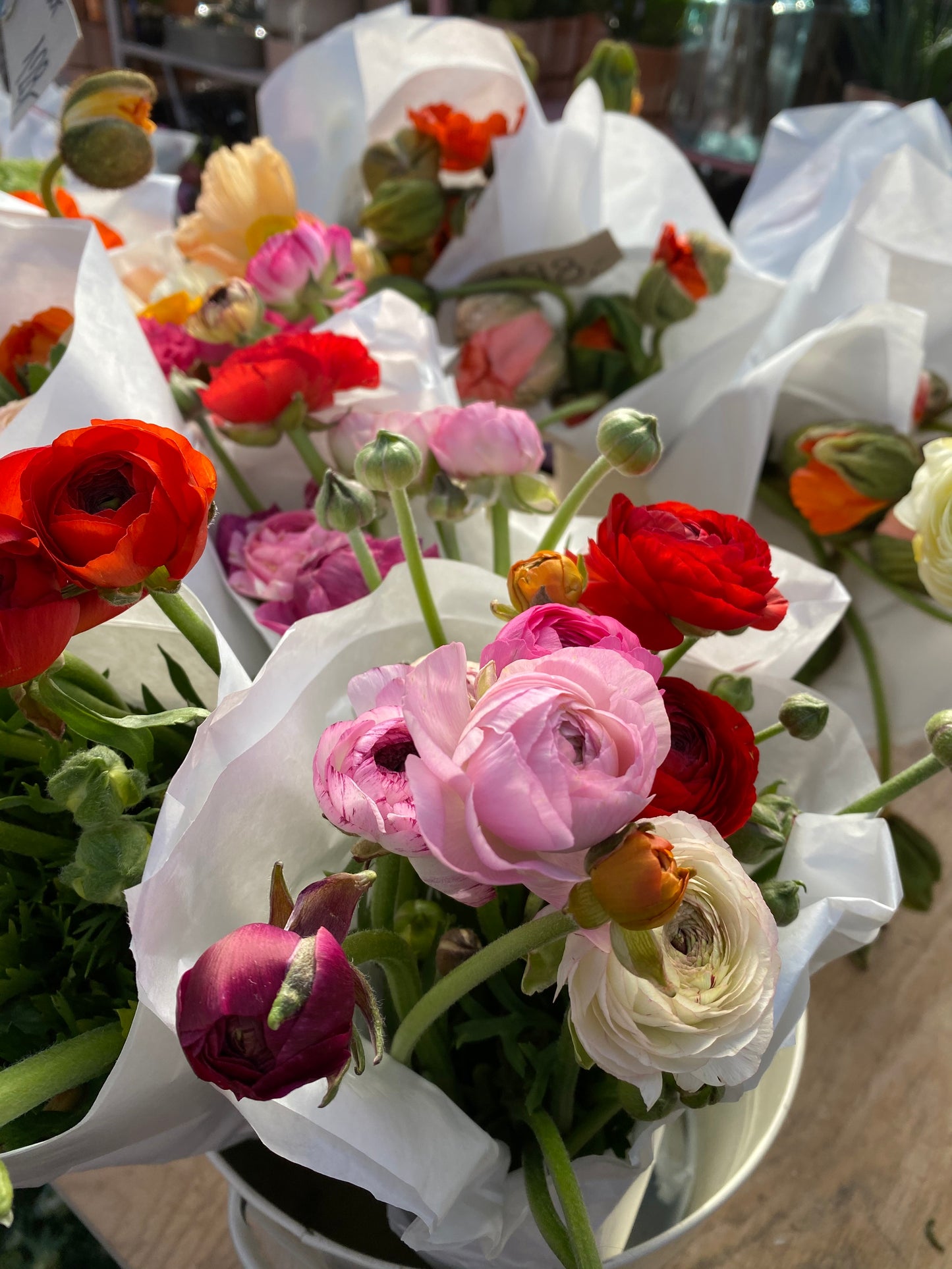 SOLD OUT: METROWEST SPRING FLOWER WORKSHOP: ANEMONES & RANUNCULUS