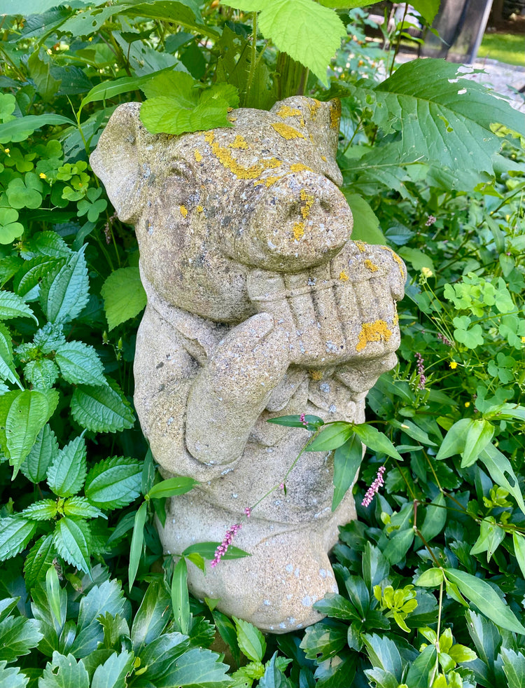 Vintage Finds & Plants