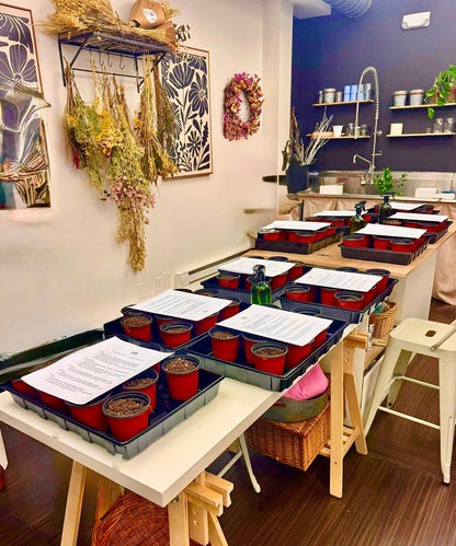 Flower House Monthly Subscription