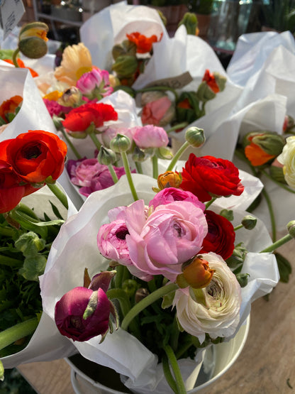 Spring Flower Farm Tour