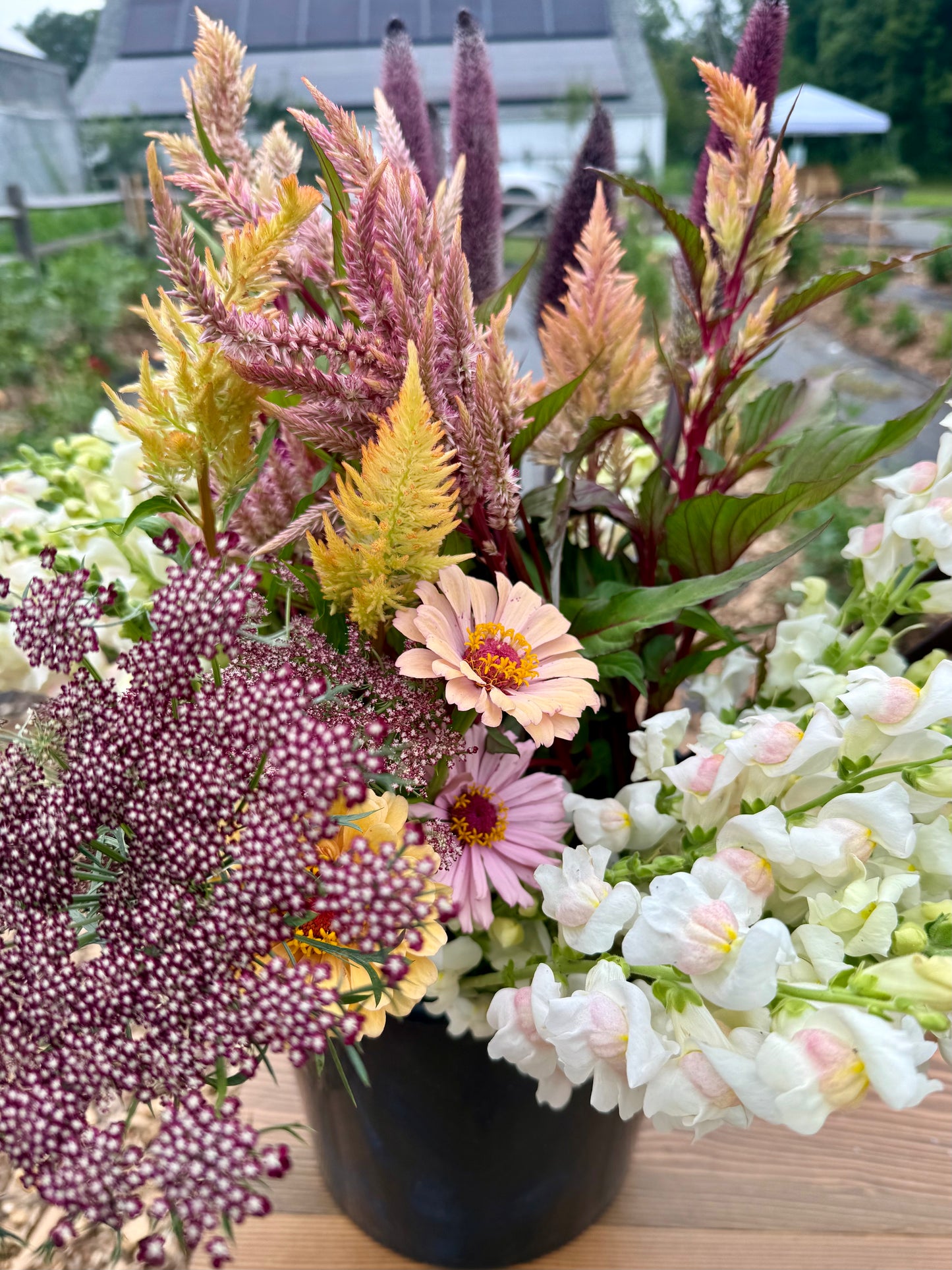 New for 2026: You-Pick Flower Events