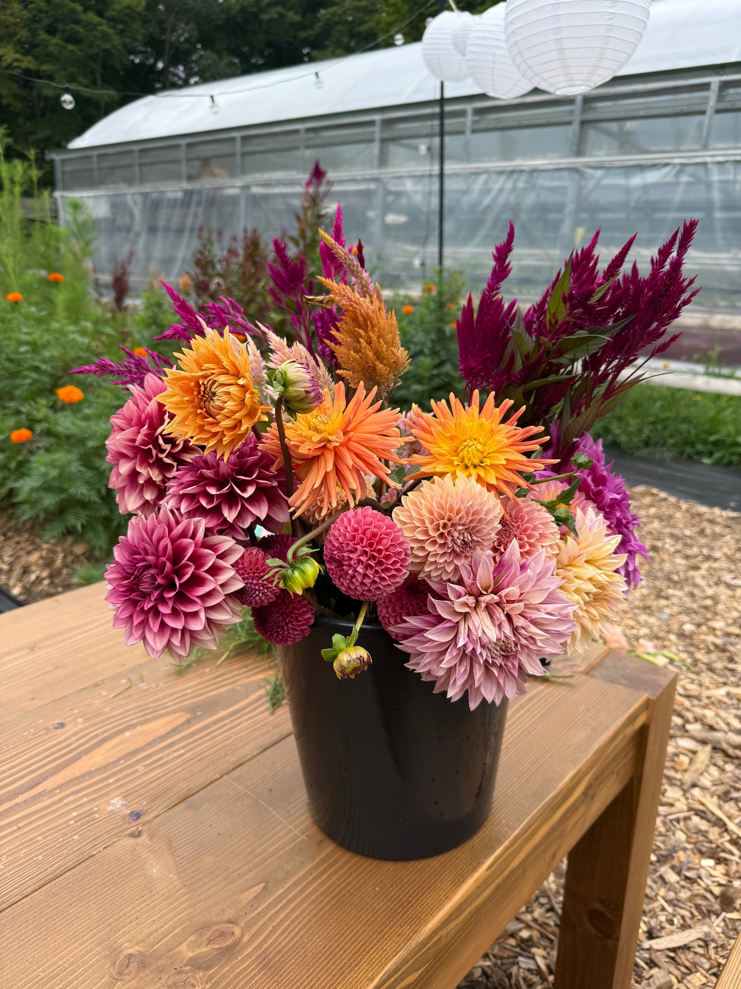 New for 2026: You-Pick Flower Events