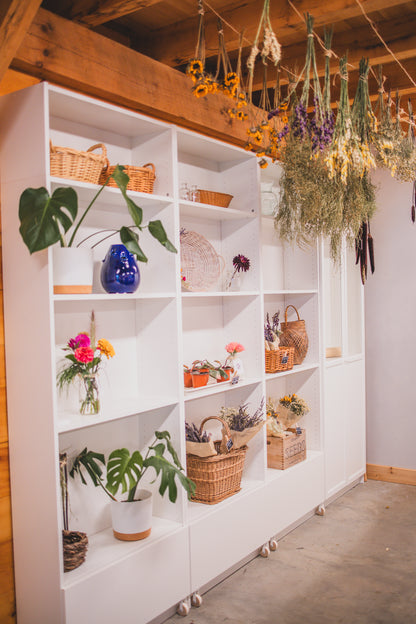 Spring Flower Farm Tour