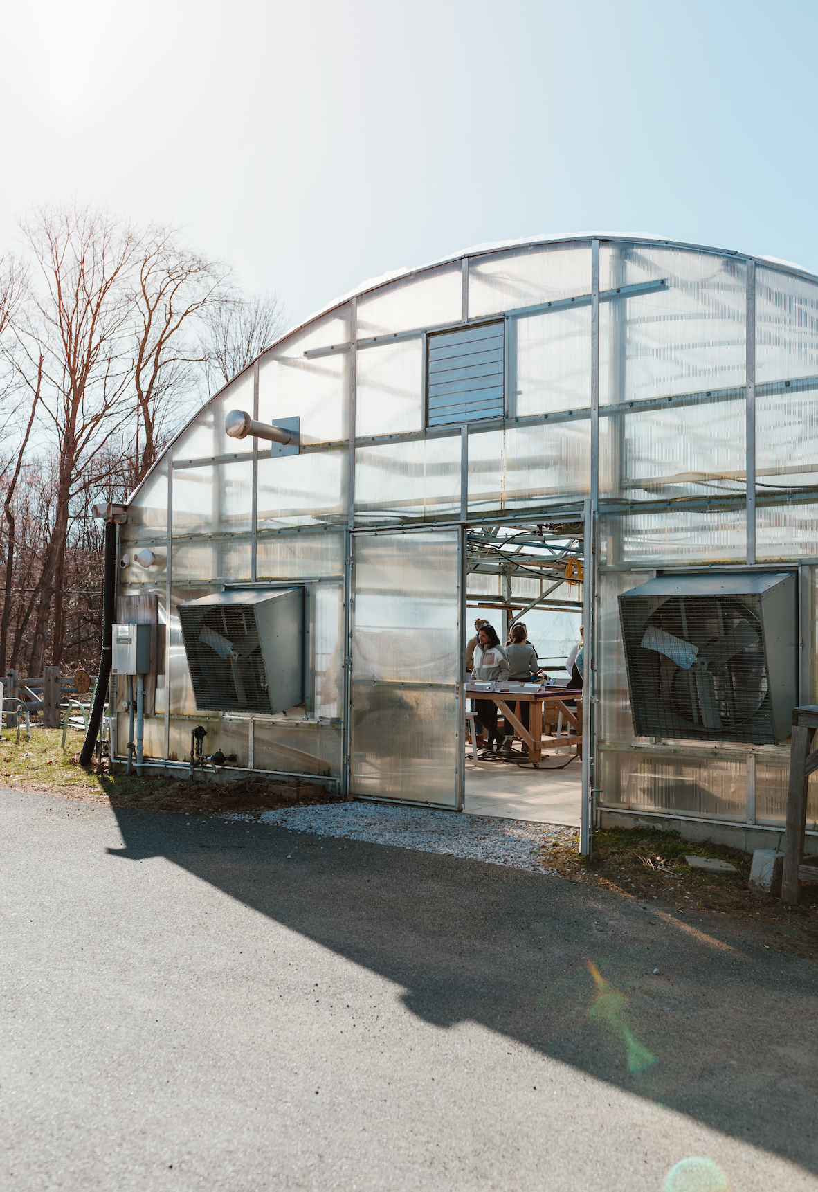 Spring Flower Farm Tour