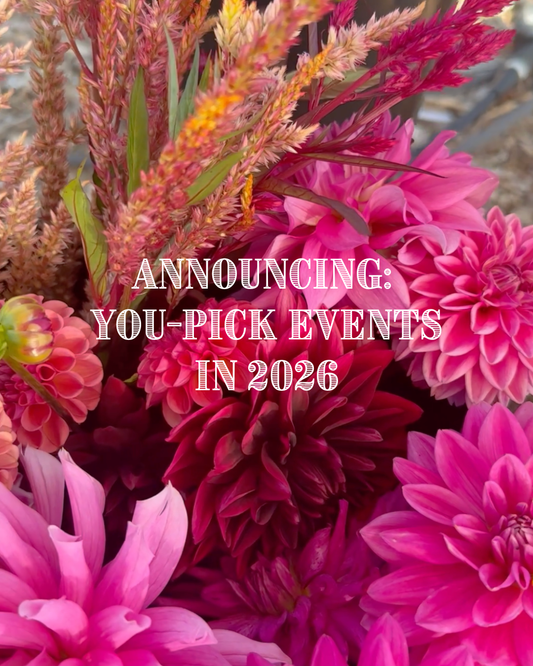 New for 2026: You-Pick Flower Events