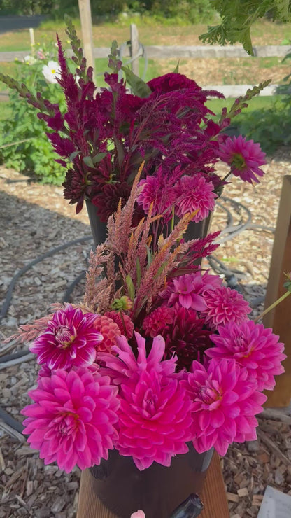 New for 2026: You-Pick Flower Events